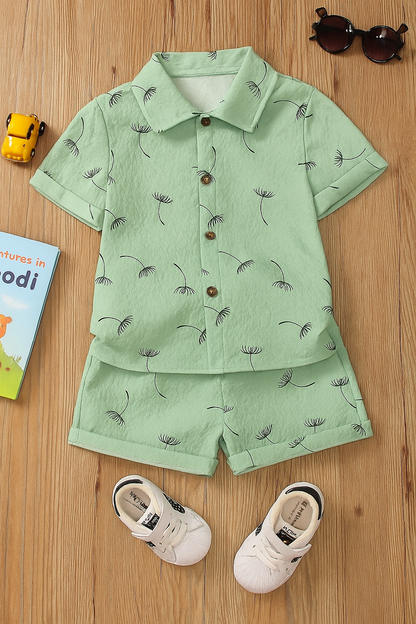 Baby Boy Mint Green Shirt and Shorts Set