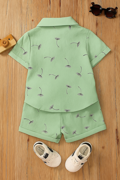 Baby Boy Mint Green Shirt and Shorts Set