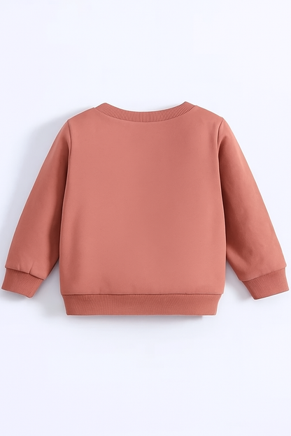 Baby Boy Pink Winter Outfit Set